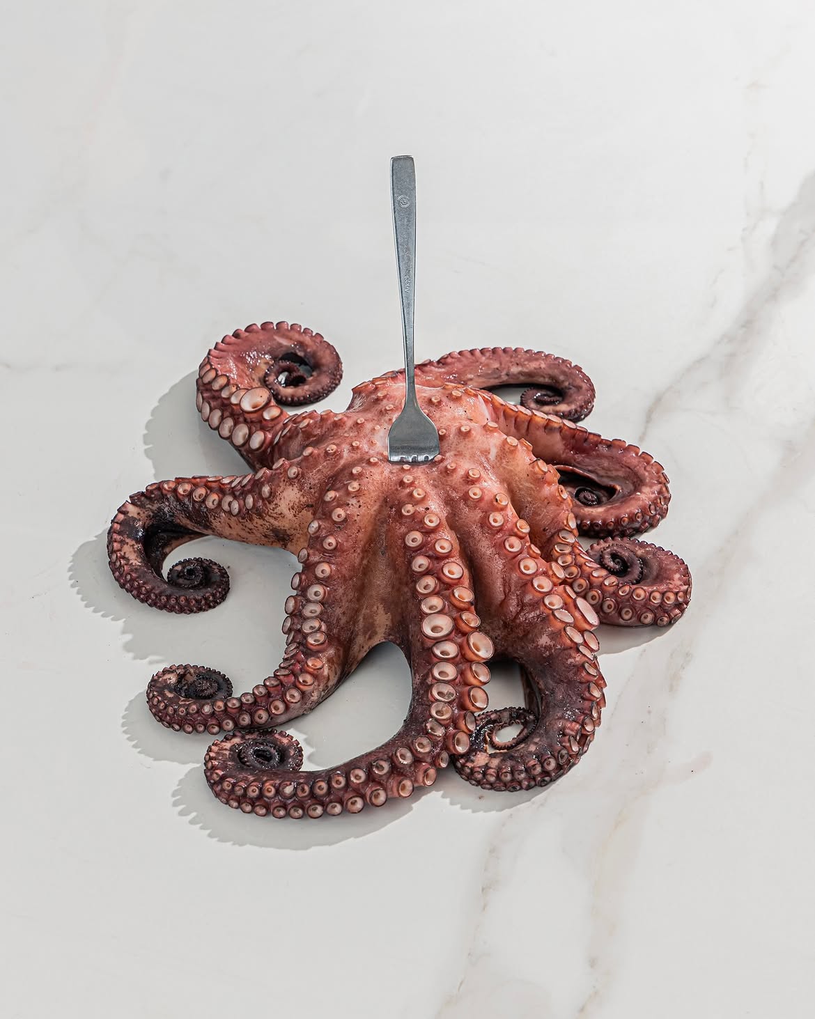 Whole octopus on white marble with a fork