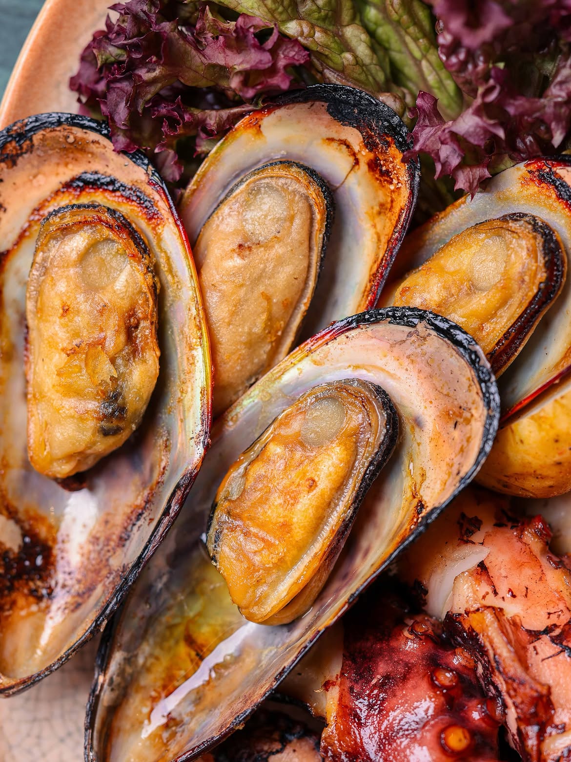 Grilled mussels with salad leaves and charred octopus